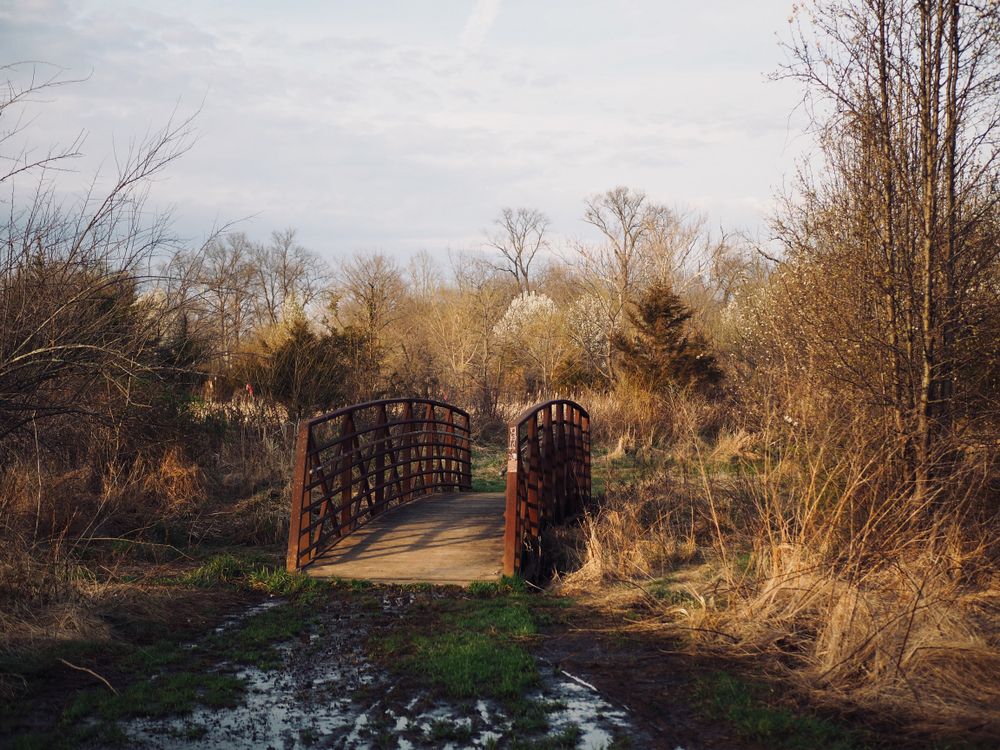 View of Bles Park, Ashburn, virginia