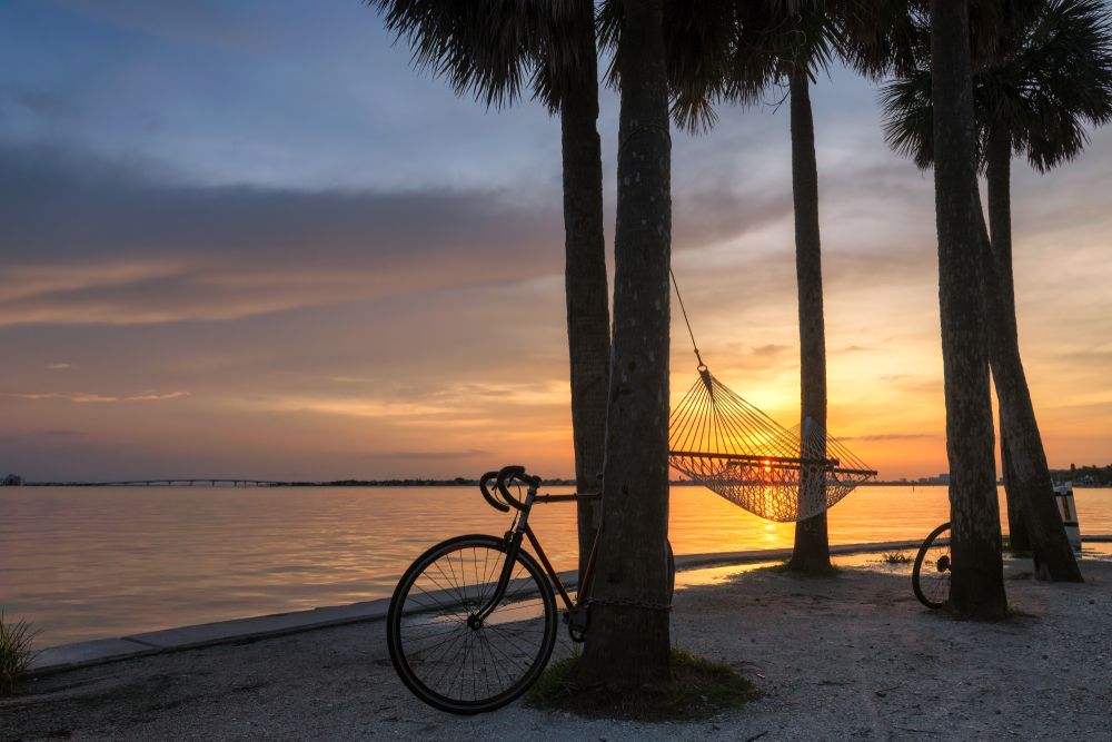 A Bike Leaning Against a Tree in Siesta Keys, FL