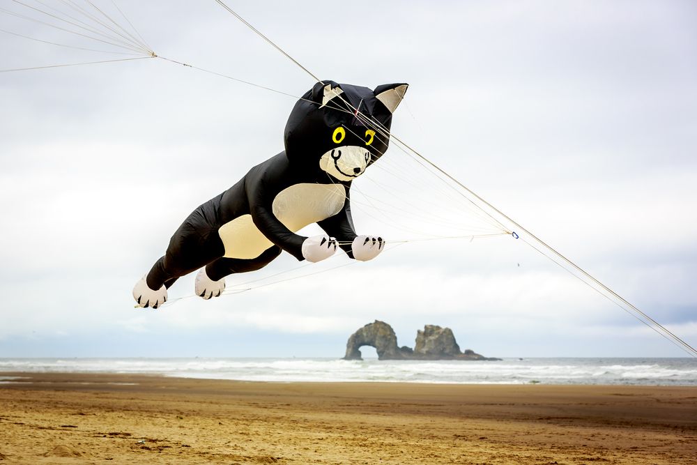 A giant cat kite during the Annual Rockaway Beach Kite Festival.