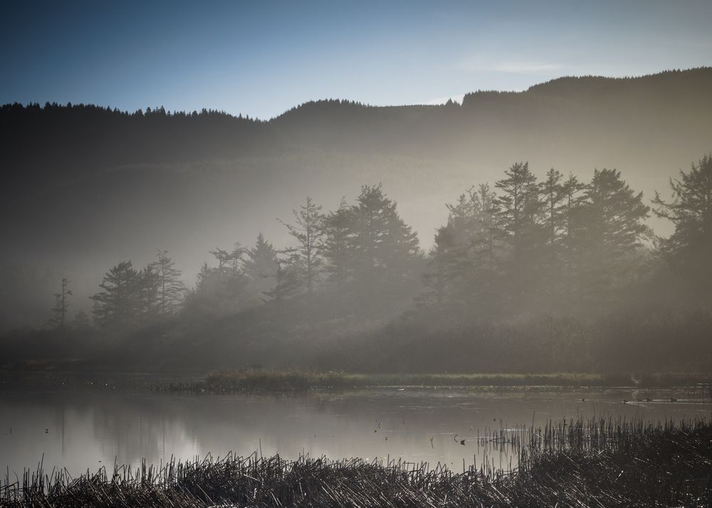 Fog covering Lake Lytle.