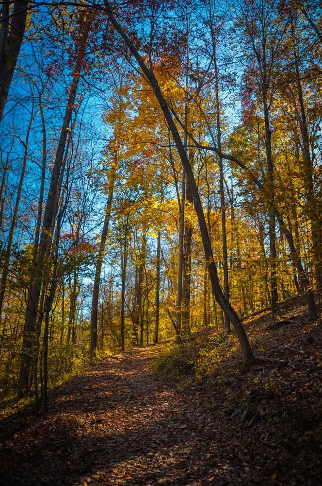 Trail at Explore Park