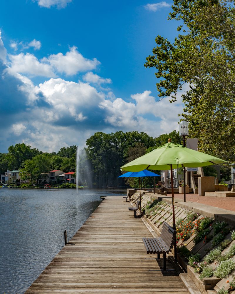 Bench overlooking the waters at Lake Anne Plaza
