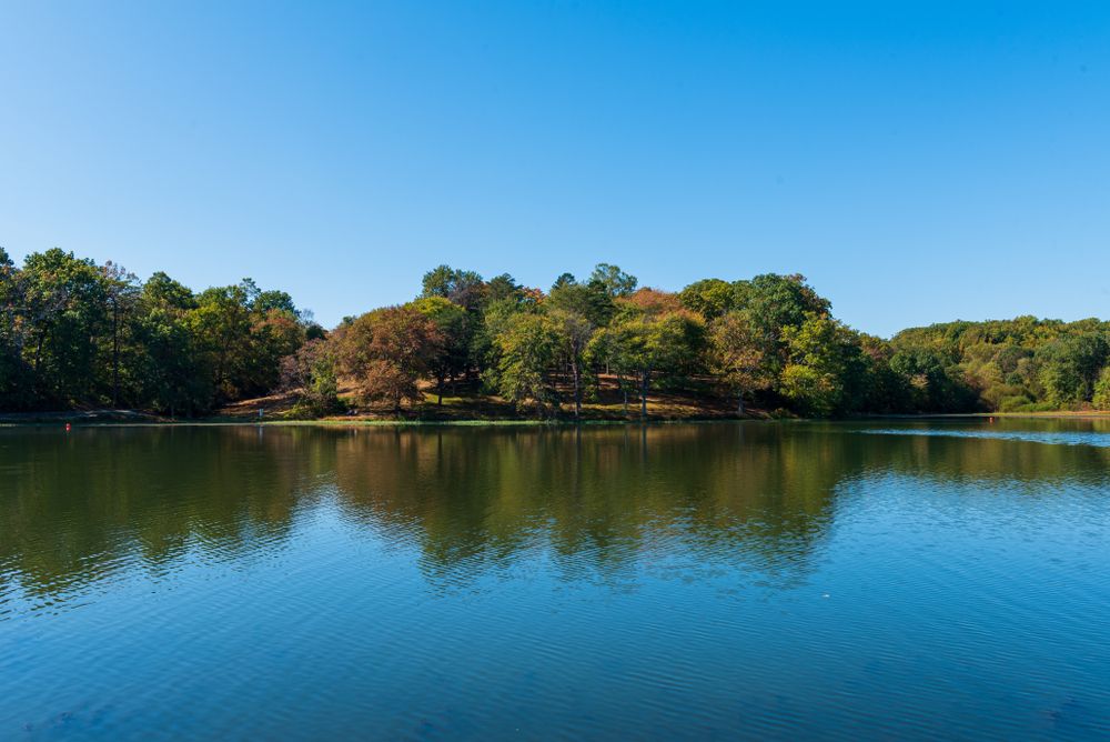 The waters of Lake Fairfax Park