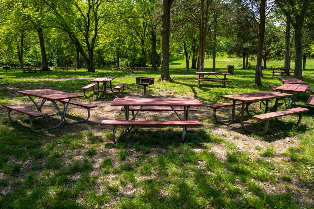 Picnic tables at Lake Fairfax Park