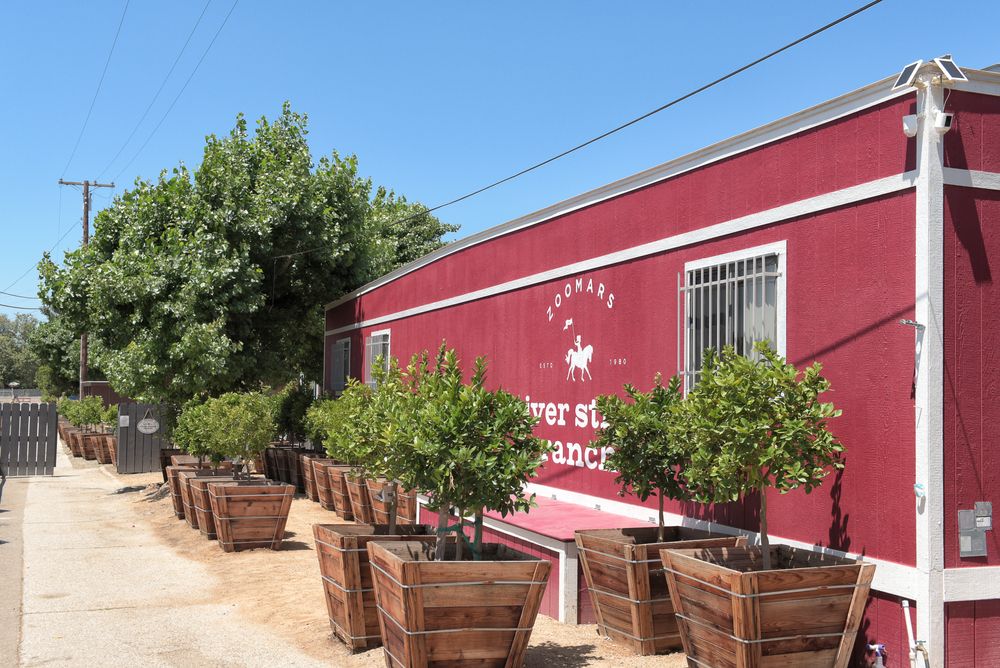Potted plants at Zoomars at River Street Ranch.