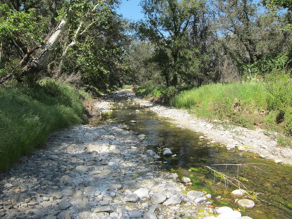 Downstream at Ronald W. Casper's Wilderness Park.