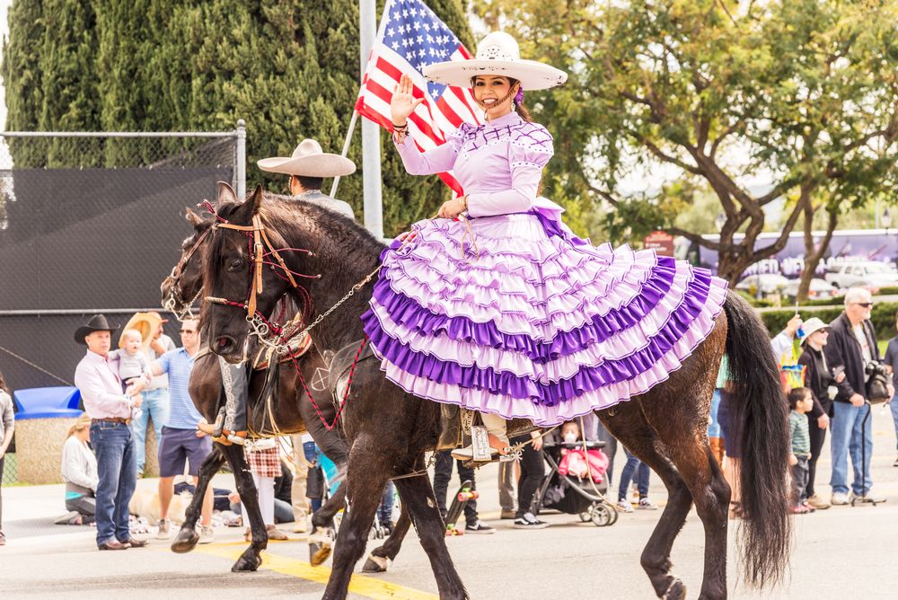 Woman riding a horse at Swallows Day Parade.