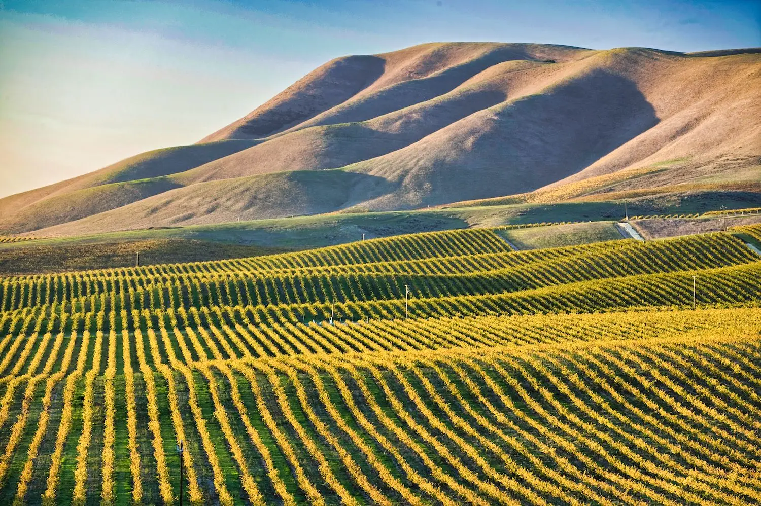 15 Free Things to Do in Santa Maria, CA