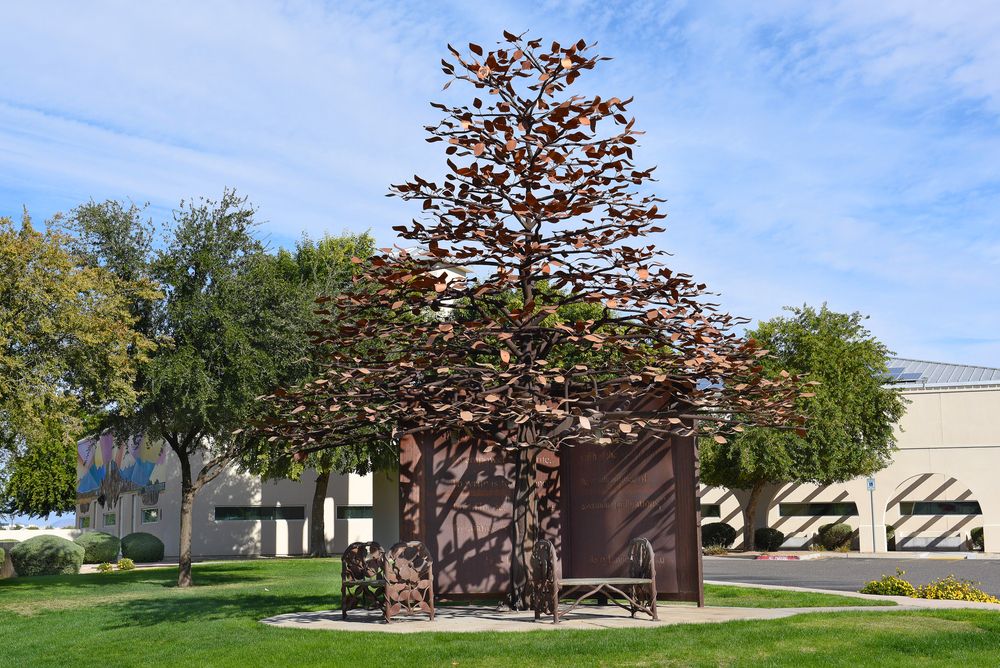The learning tree sculpture in front of the Northwest Regional Library