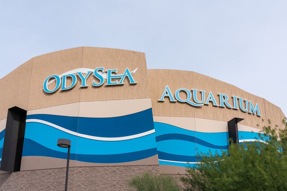Exterior of OdySea Aquarium