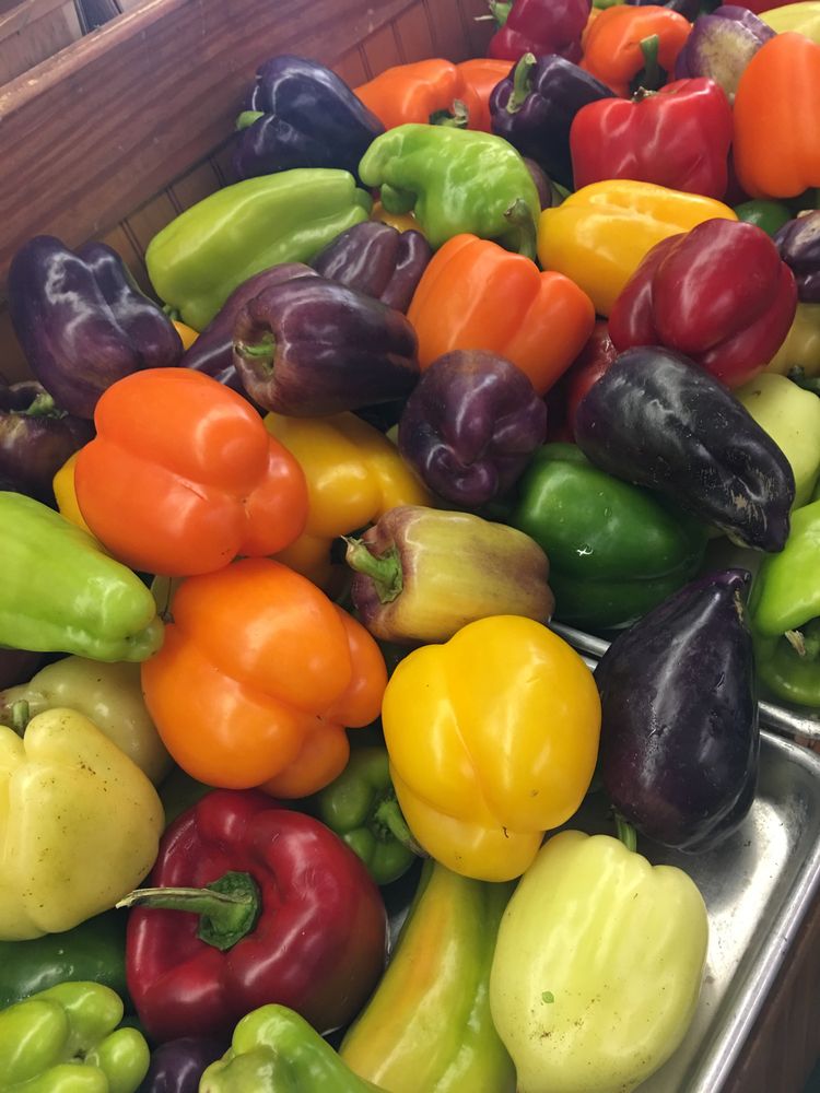 Fresh produce at South Bend Farmer’s Market