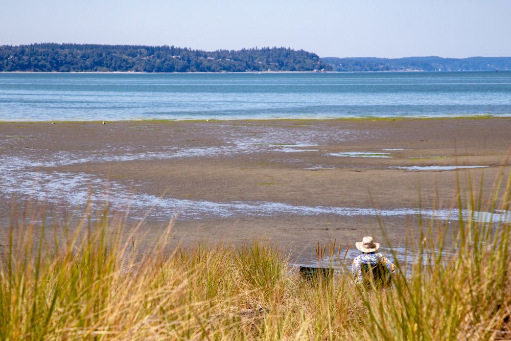 Sunny day at the Beach at Jetty Island