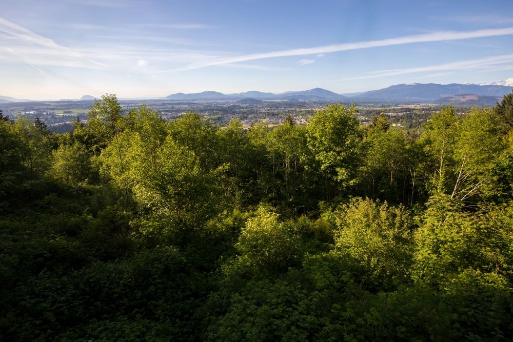Skyline views from Little Mountain Park