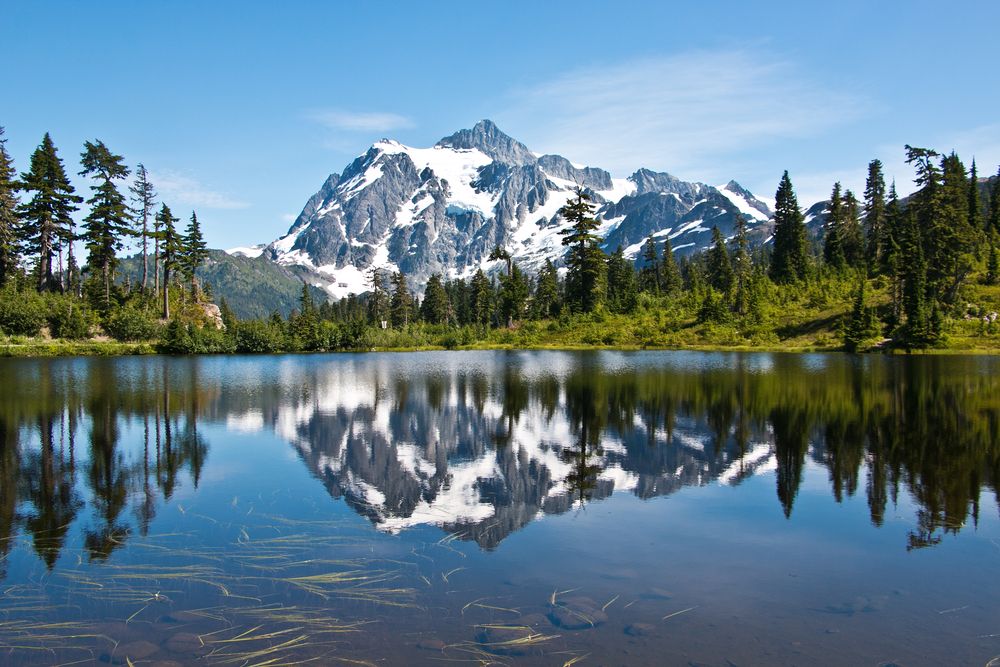 Waters at Mt. Baker-Snoqualmie National Forest