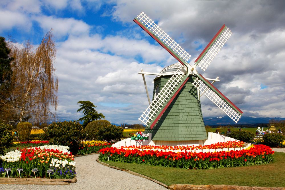 Windmill at Roozengaarde