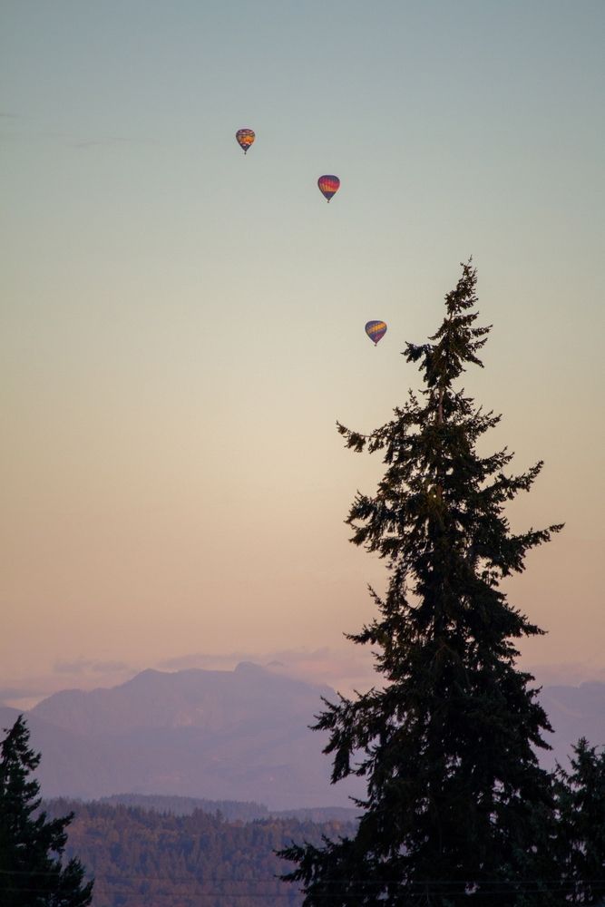 Hot air balloons over Snohomish County