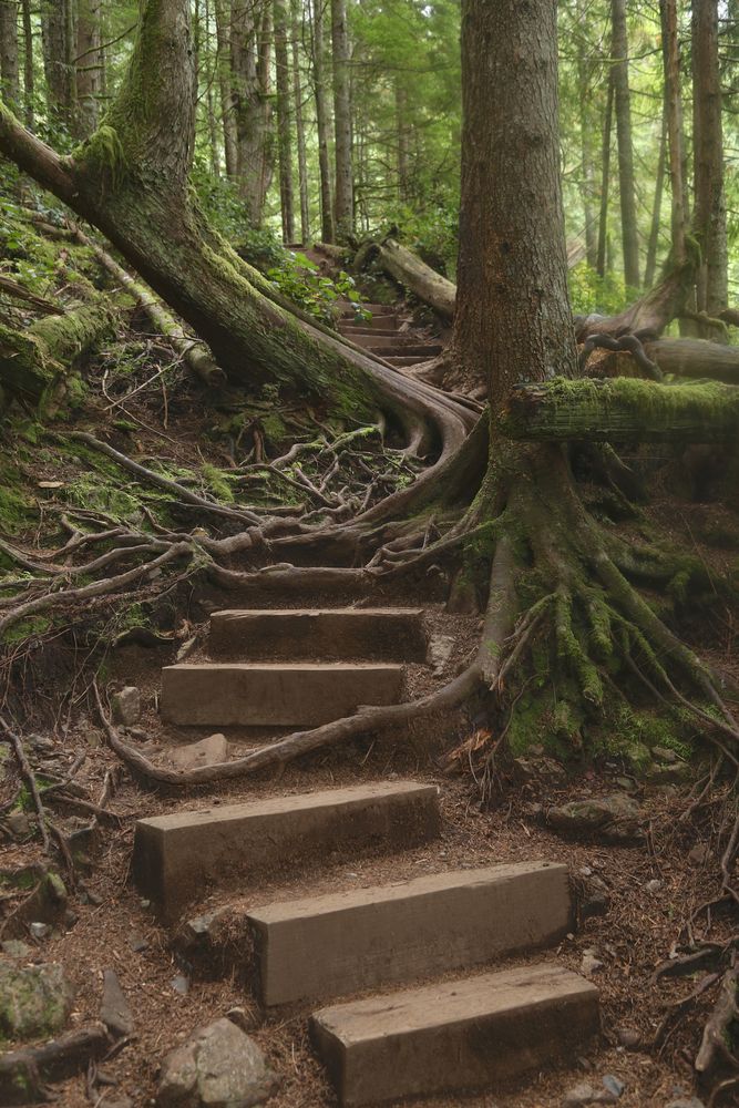 Trail at Wallace Falls State Park