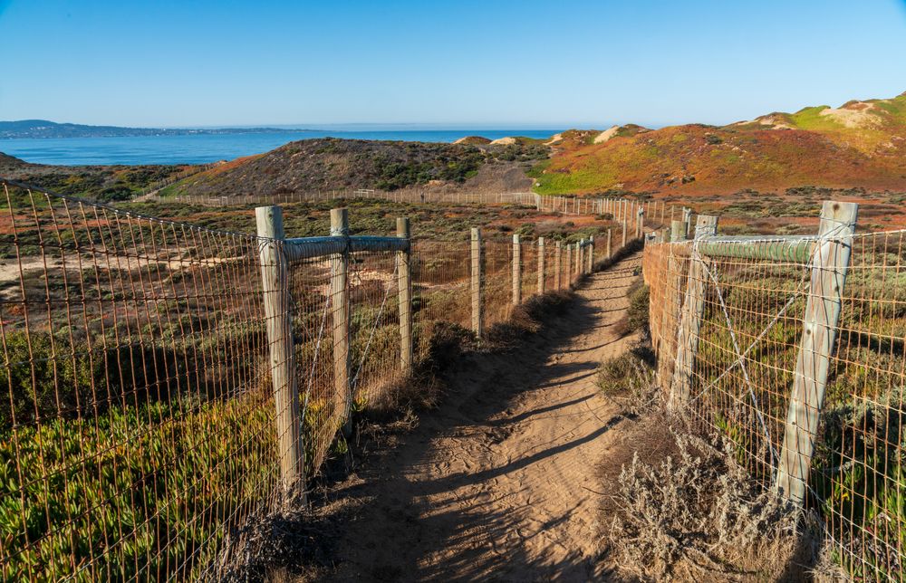 Sandy trail at Pebble Beach Coastal Overlook