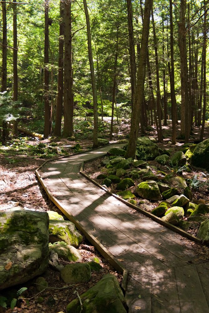 Boardwalk at Kettletown State Park