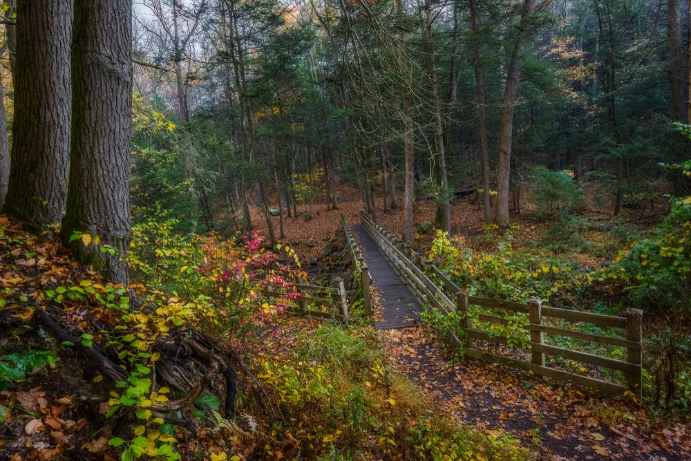 A footbridge at Kettletown State Park