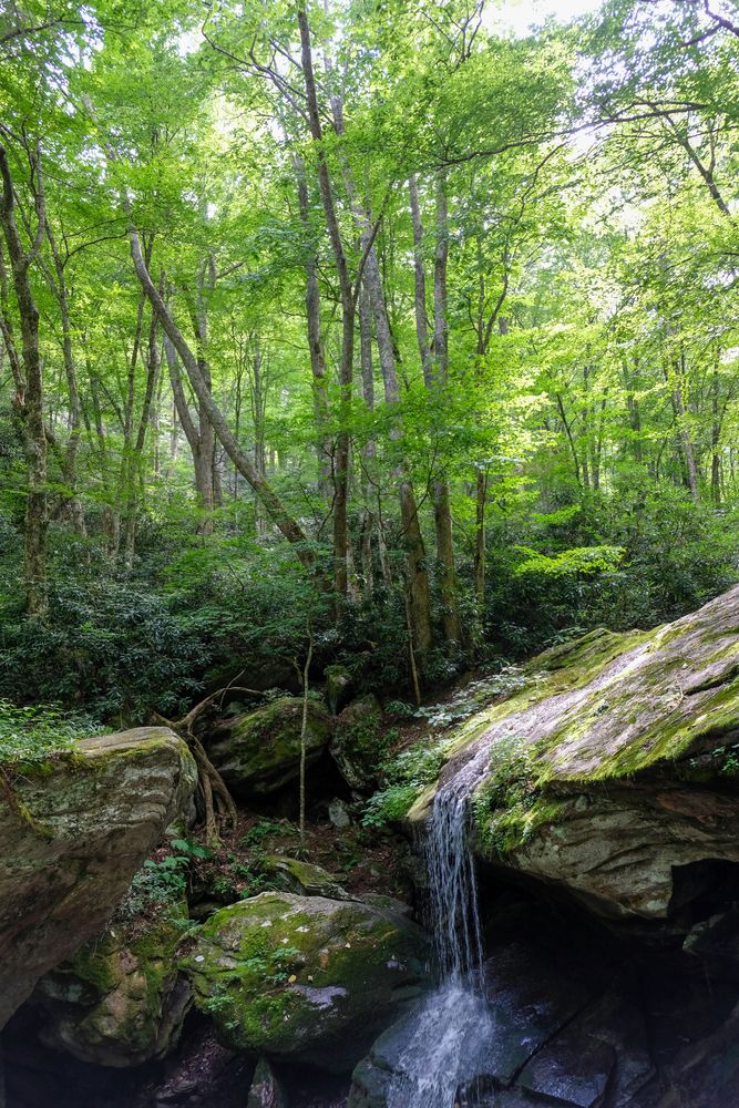 Water flowing over a rock along Otter Falls Trail