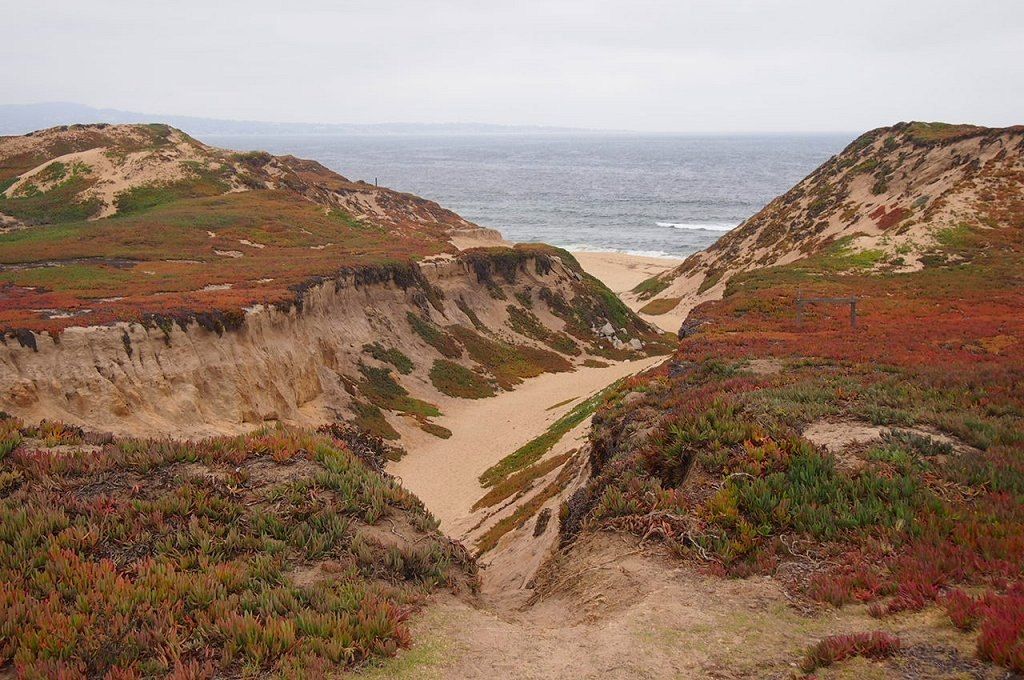Fort Ord state park near a body of water.