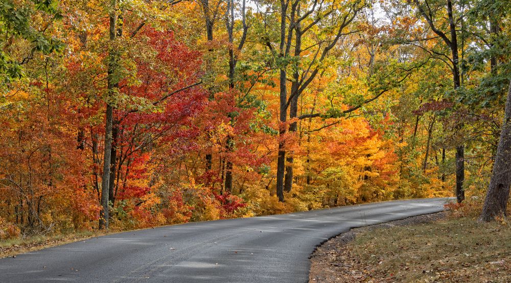 Road in DeSoto State Park