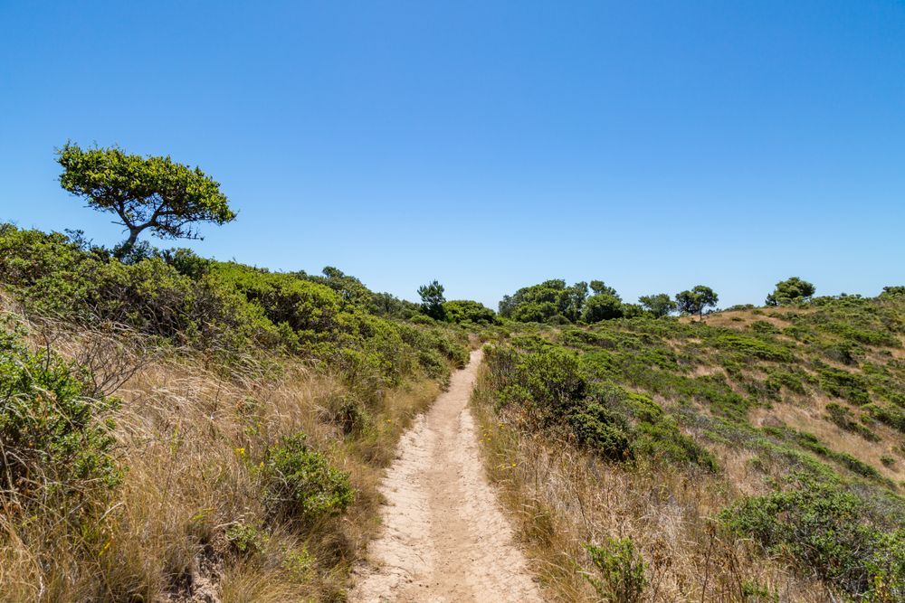 Hiking trail at Angel Island State Park