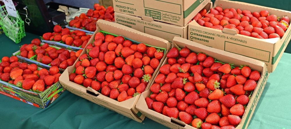 Fresh produce at Ferry Plaza Farmers Market