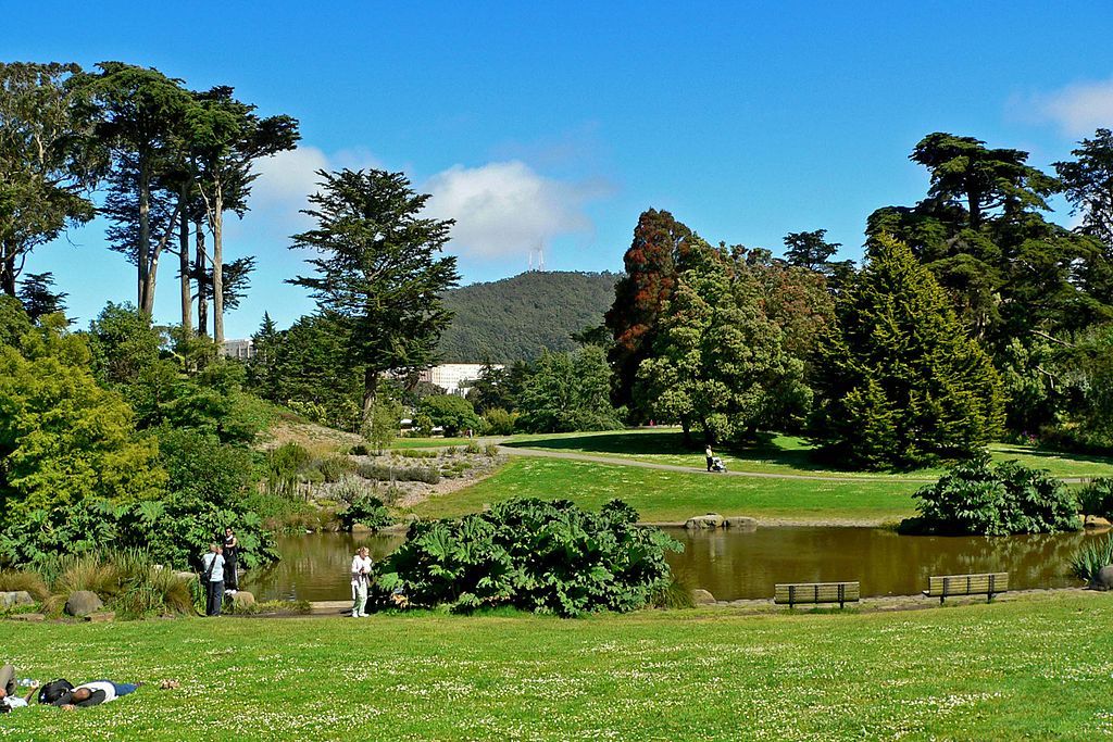 Great lawn of San Francisco Botanical Garden