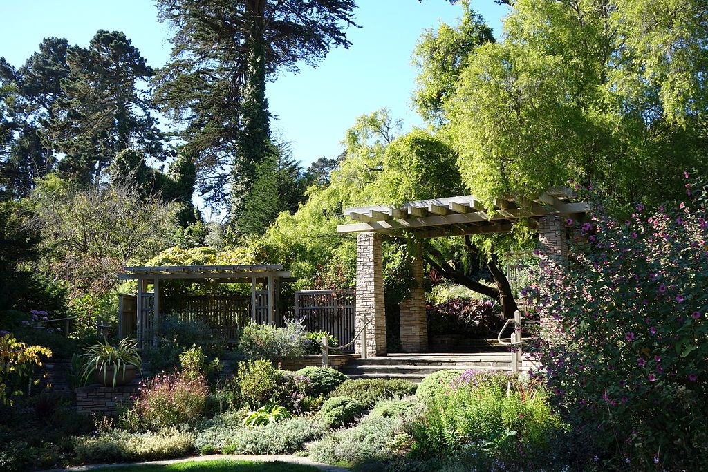 Flora at San Francisco Botanical Garden