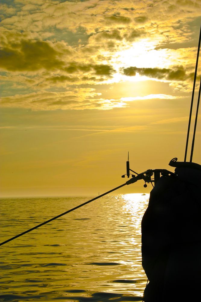 View of the sunset from a Catamaran Cruise