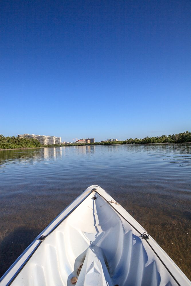 Kayaking at Marco Island