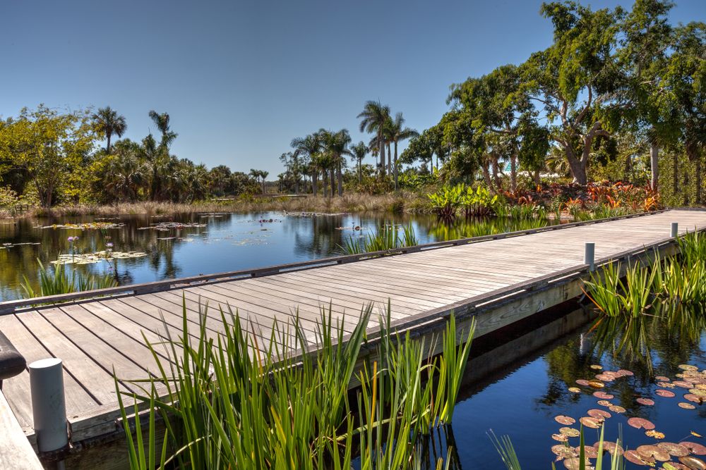 Boardwalk at Naples Botanical Garden