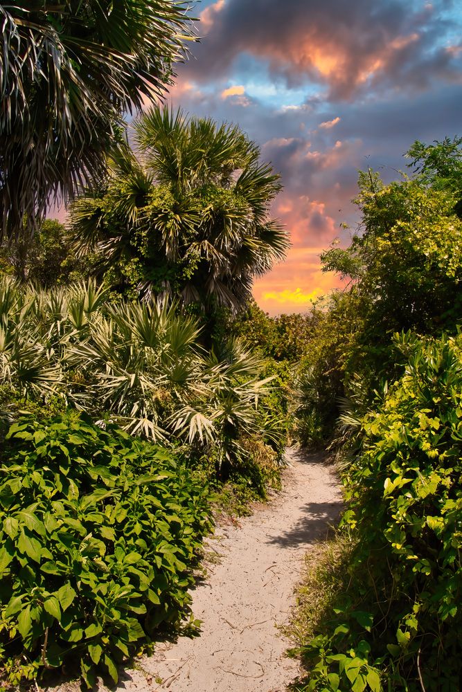 Trail at Sebastian Inlet State Park