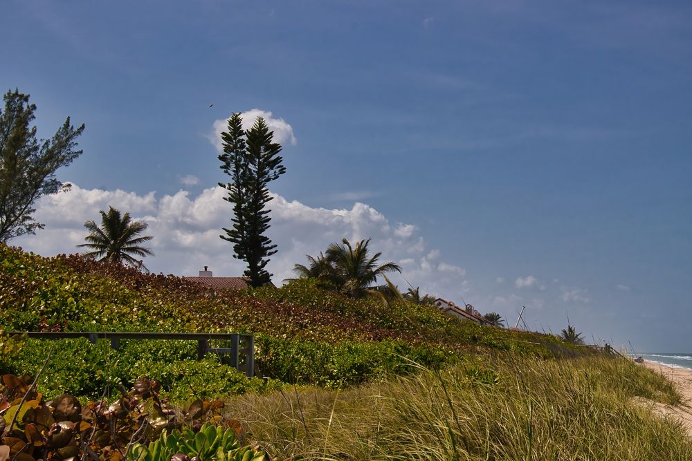 The grounds of Sebastian Inlet State Park