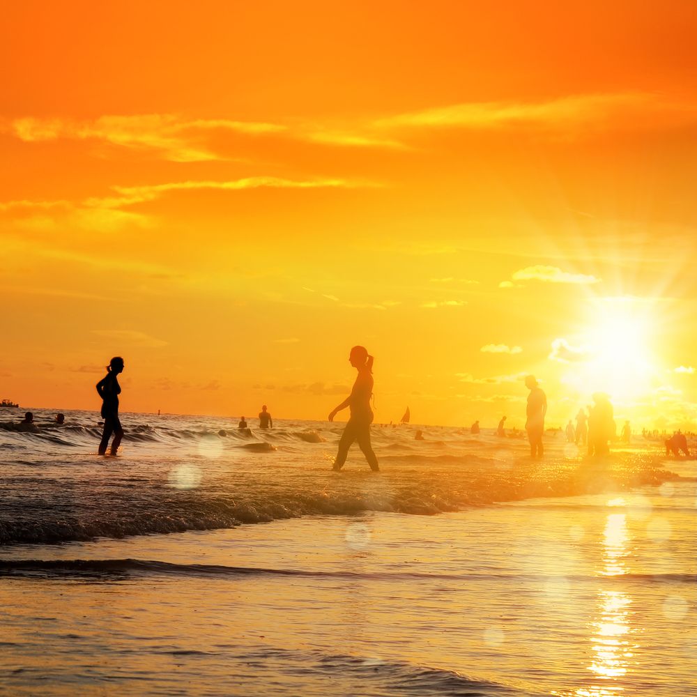 People swimming at Siesta Key Beach
