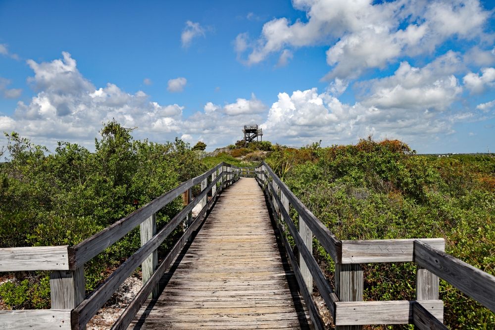 Boardwalk leading to Hobe Mountain Tower