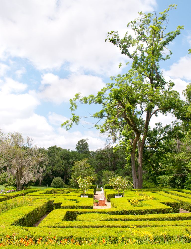 Hedge maze at Afton Villa Gardens