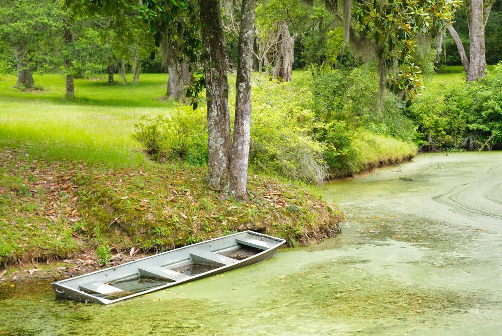 A rowboat on the waters of Afton Villa Gardens