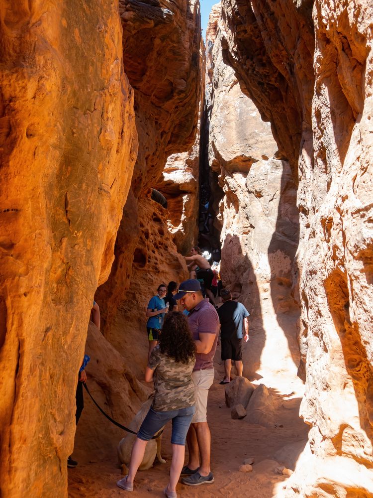 Hikers at Pioneer Park