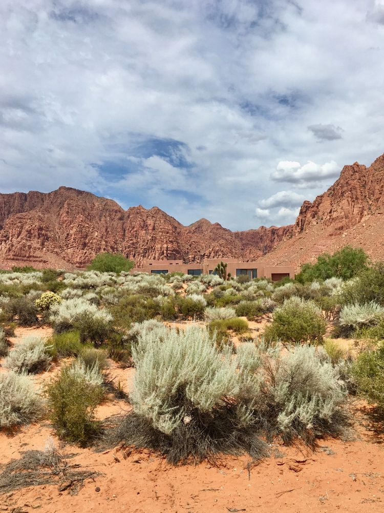 Desert arboretum at Kayenta Art Village