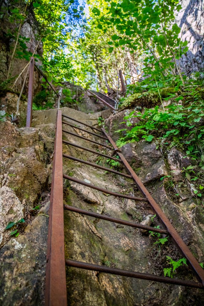 Hiking ladder at Beech Cliff Trail