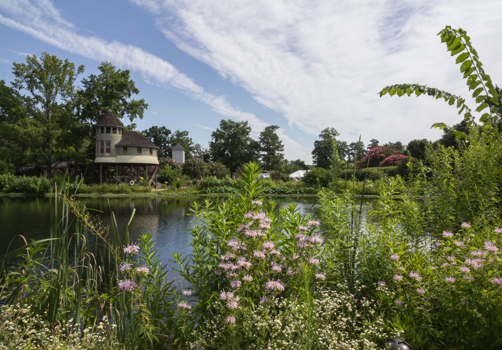 Plants at Lewis Ginter Botanical Garden.