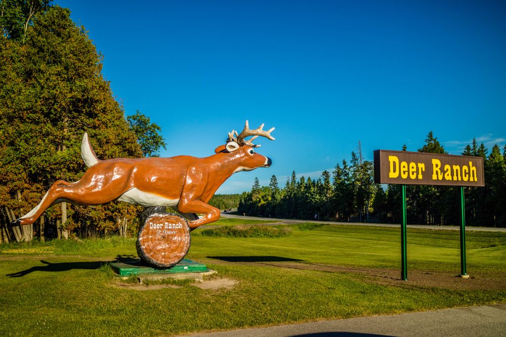 Entrance to Deer Ranch