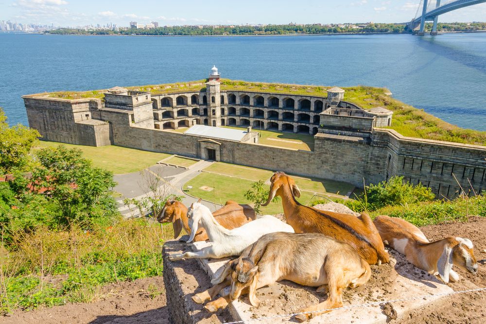 Aerial view of Fort Wadsworth