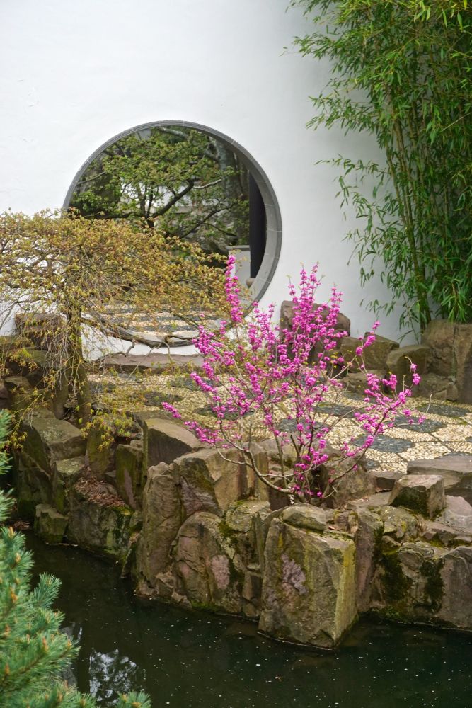 Chinese garden at Snug Harbor Cultural Center & Botanical Garden