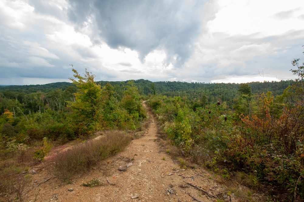 Nature scene at Knobstone Trail