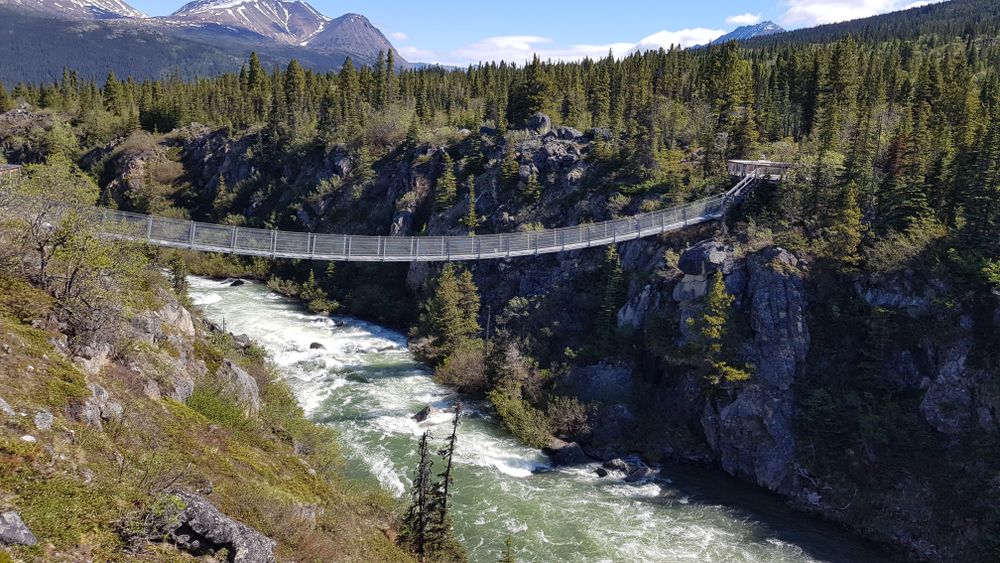 A hanging bridge at Taiya River