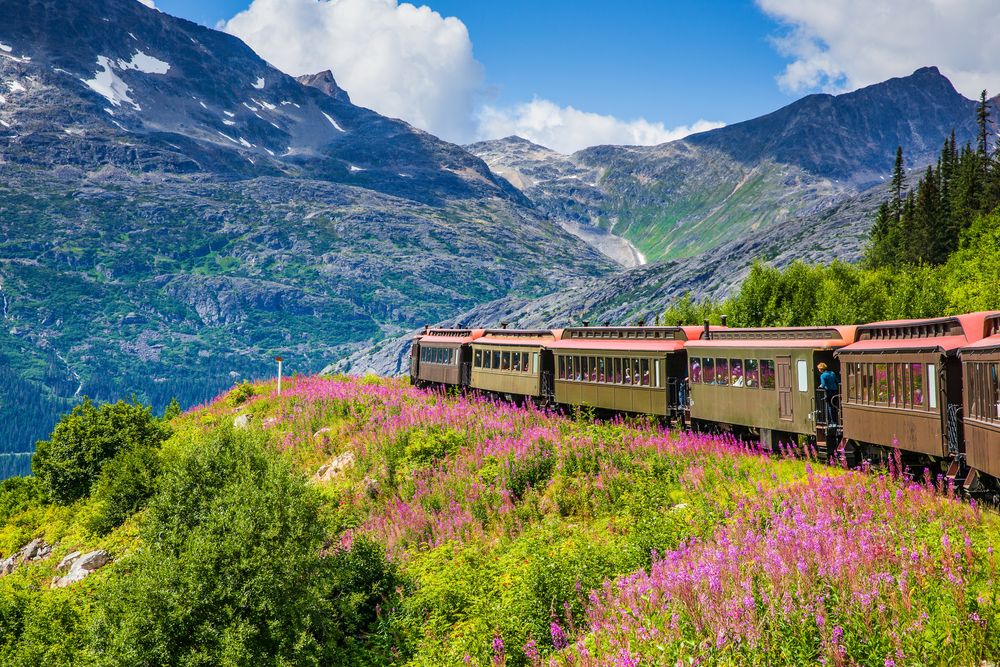 Scenic view of a train of White Pass and Yukon Route